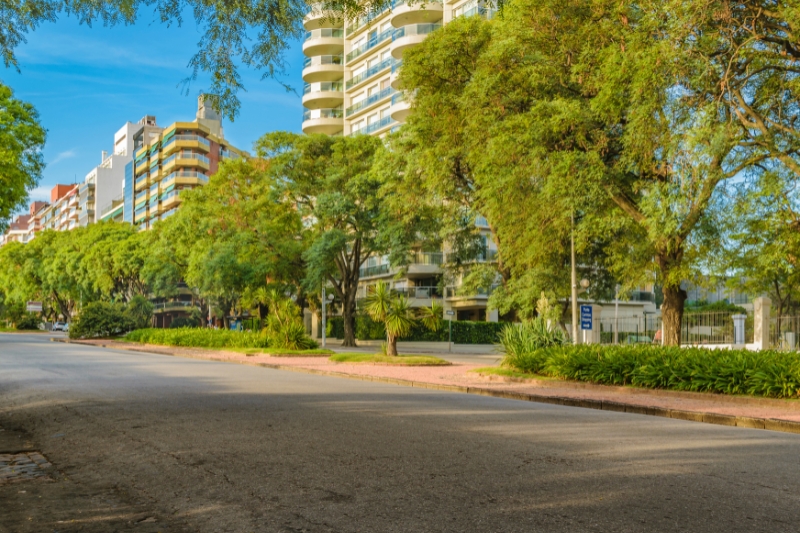 Mudanzas en el mismo barrio